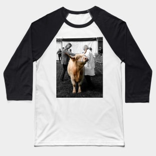 Northumberland Show Bull 2012 Baseball T-Shirt